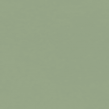 <b>Painted "Lacobel" RAL 8615.</b><br>Thickness - 4 mm</br>